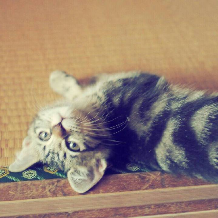 C3fef390 3b95 4951 a17b aec9f38c505b