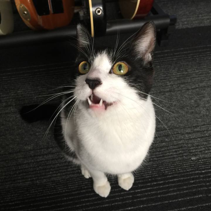 C3ff486c ac76 4557 a0d7 951d9fecaf9c