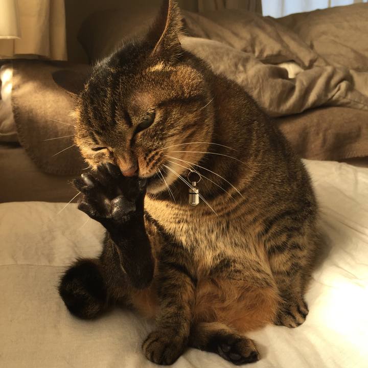 C3ffa59f 54d5 446e 9833 c50ee78a0346