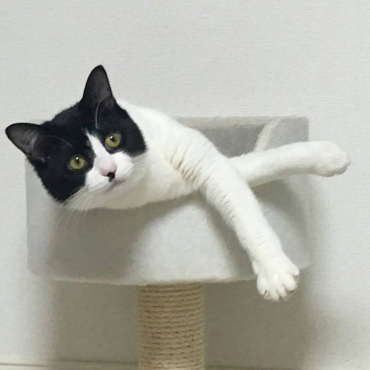 C3ffa6c1 6229 4fcd b87b 1f3e539654b7