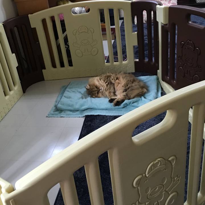 C4007623 e84d 4106 8d16 03c4164786f0