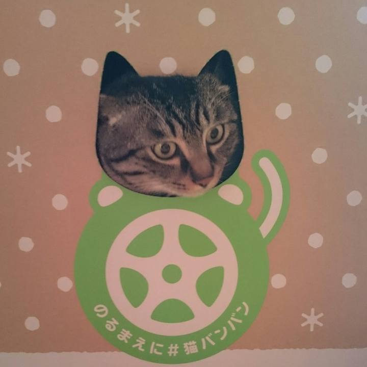 C4009d94 e05b 42ce 94d7 bc2632e0f707