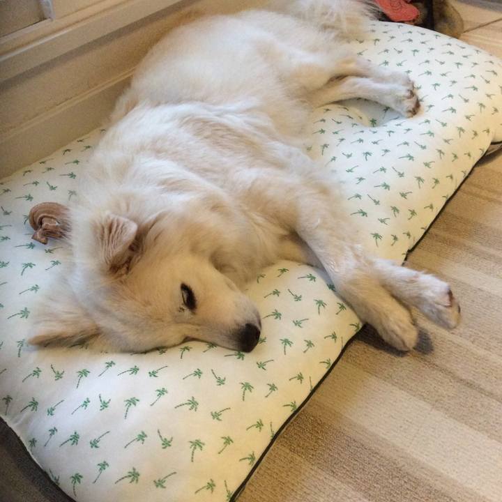 C400cc69 e978 47de 9bf3 da9e4079ef31