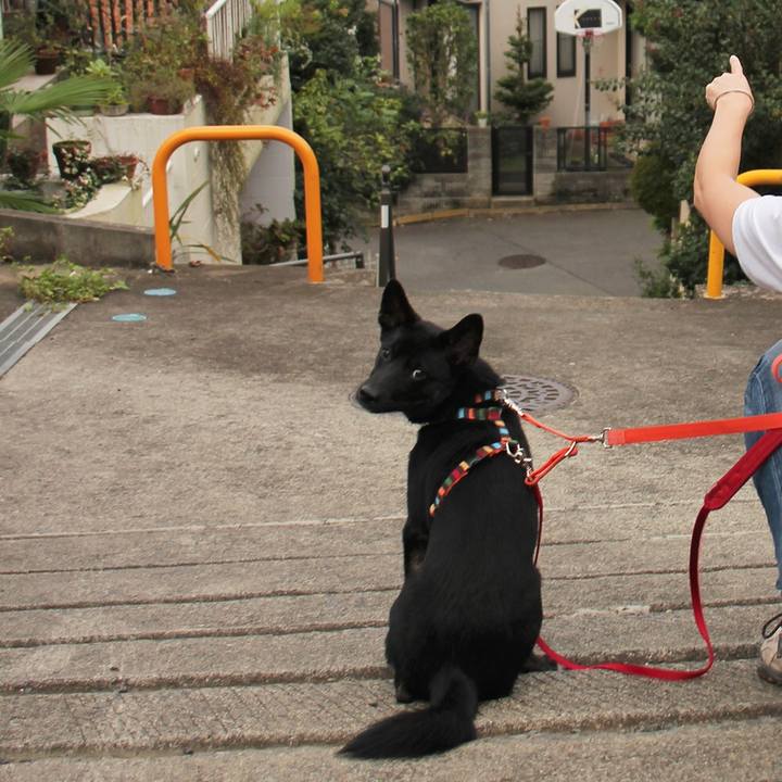 C40143d7 7bbe 4780 8c9c fdbc59daebe1