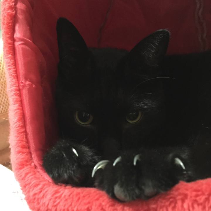 C402b998 1a94 4b94 8c09 0c2f0bc45c7b