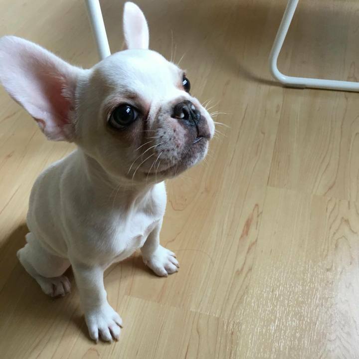 C4036f2c a87e 4ed6 bbc9 2a4bbb6d335f