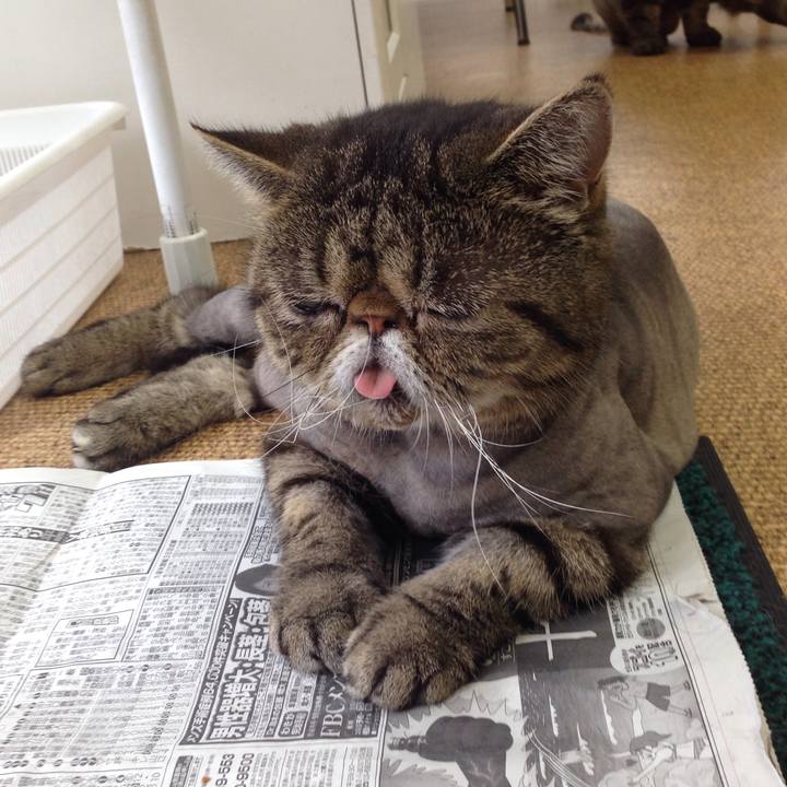 C403a992 75ed 479c b680 a4fd6f99d461