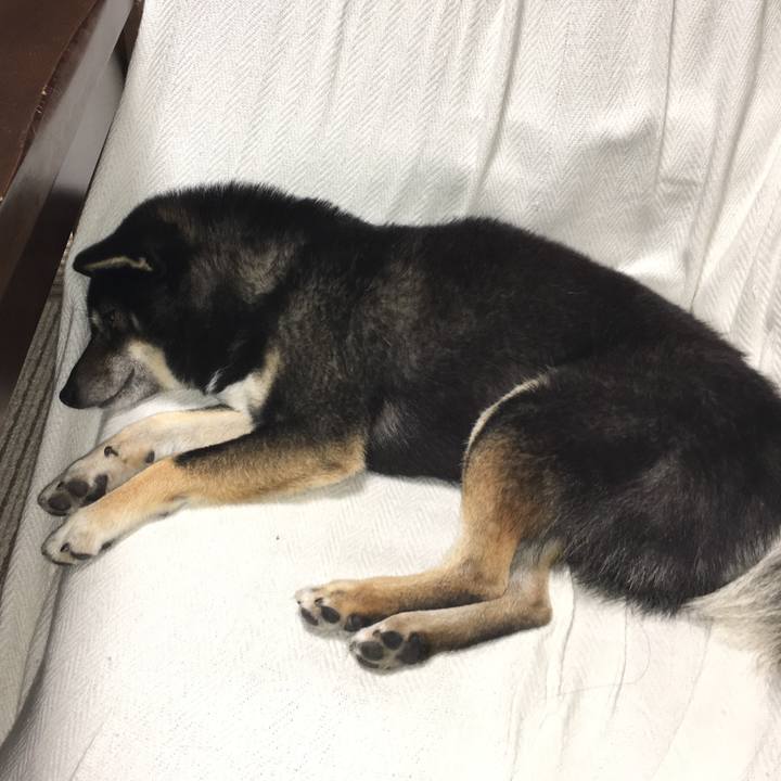 C4046f5d ecf6 4ffd bb9a 25f6e1924d18