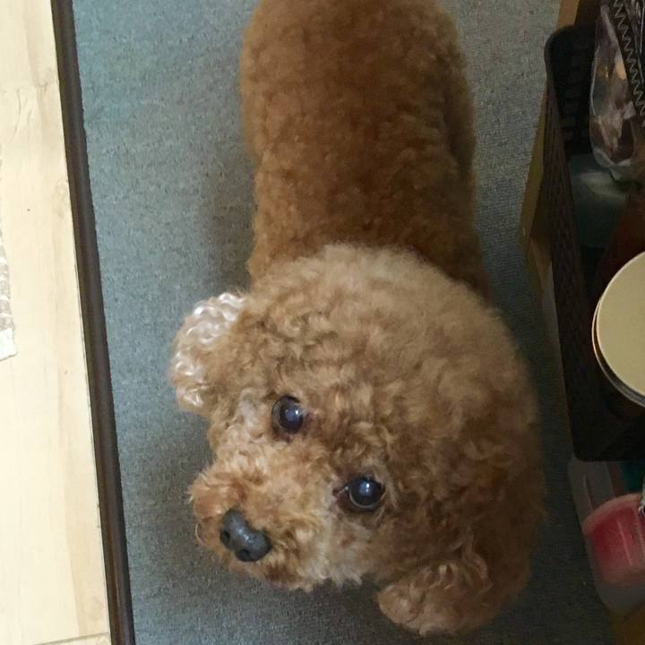 C4047af1 c2e0 47df 9f5e 660a83ae8026