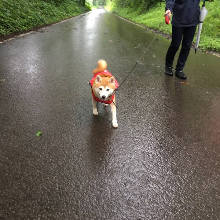 C404b392 bbd1 4f45 96e0 ece6fd8dfaea