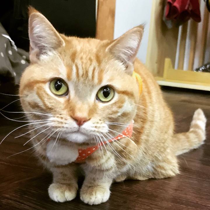 C4050aad b6e6 4333 a041 b8daade96332