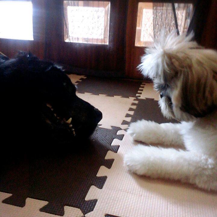 C40524ce 5260 42d7 95e9 54fad733fe5e