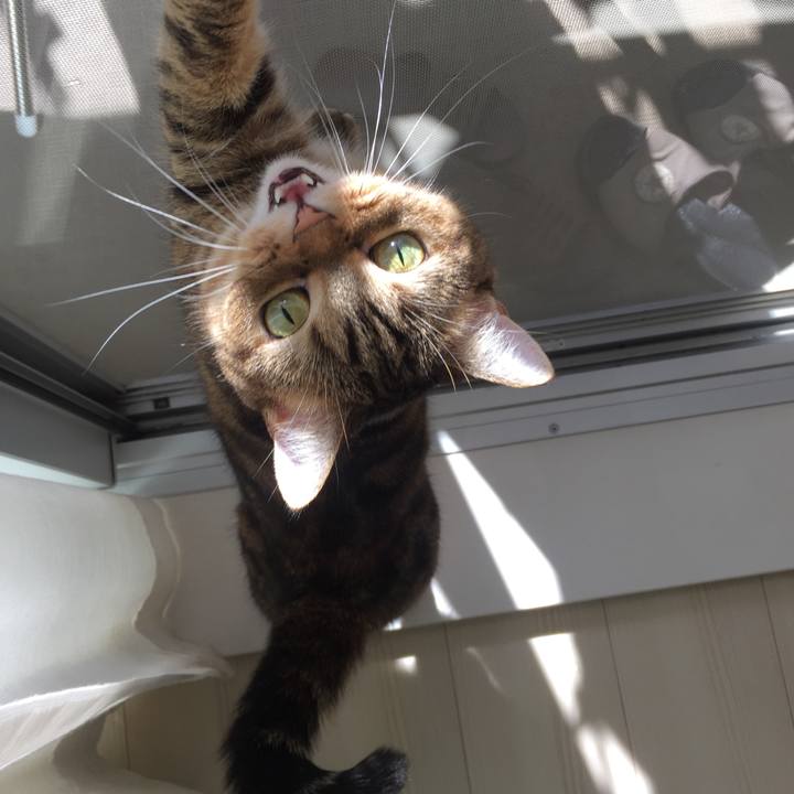 C405bda4 d019 41e6 a135 d0effda5fd71