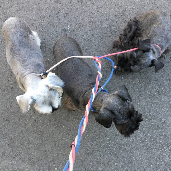 C405e558 158e 4216 81ac cdef3f12e165