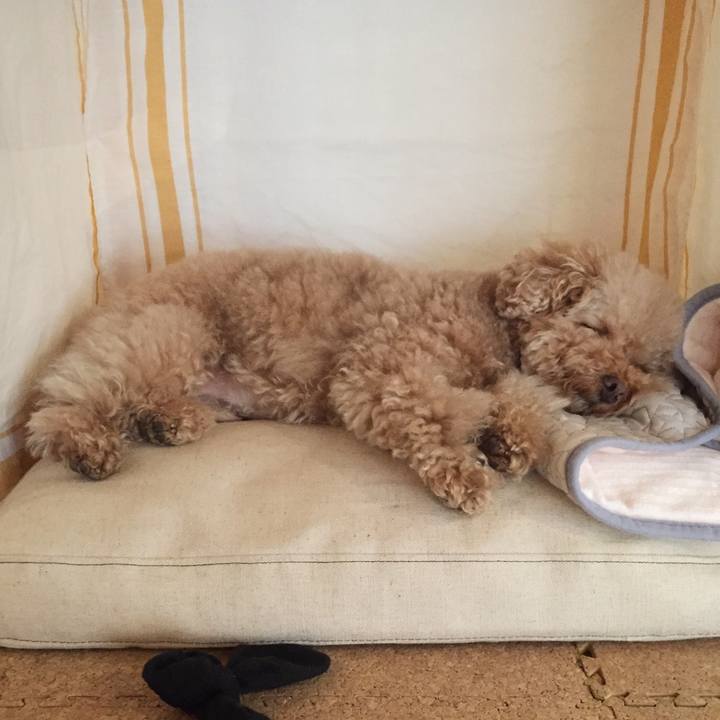 C4060ca9 2339 405b b908 983725be574a