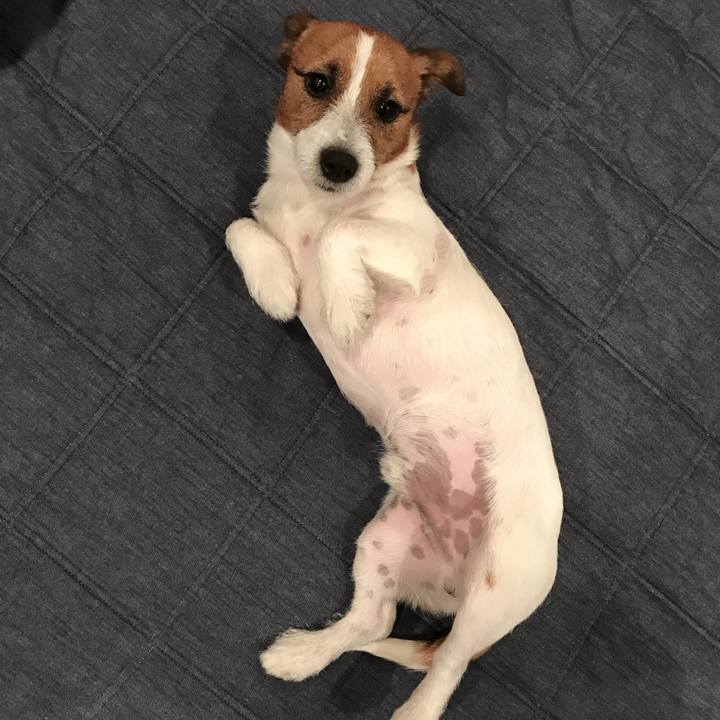 C406f05c 6bc0 47dd a556 22938e14821d