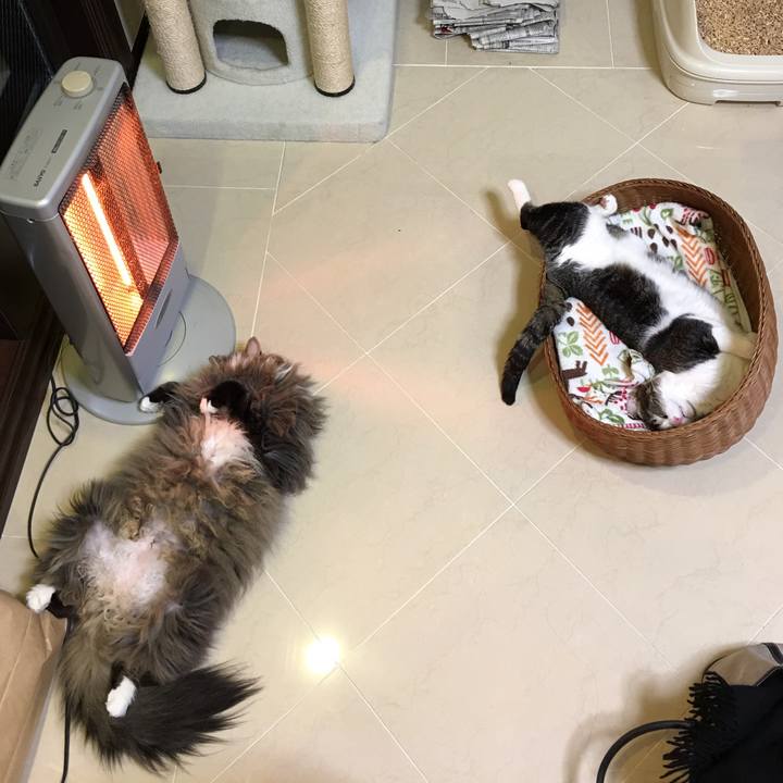 C406fc1f bdc7 422b b188 de61658d27cc