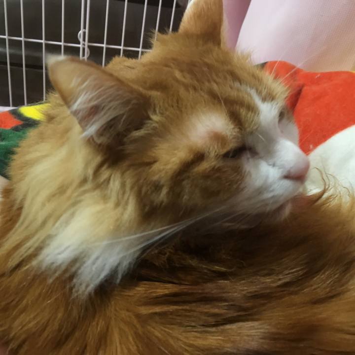 C4070819 a800 4172 8c46 66f9c5ee4178