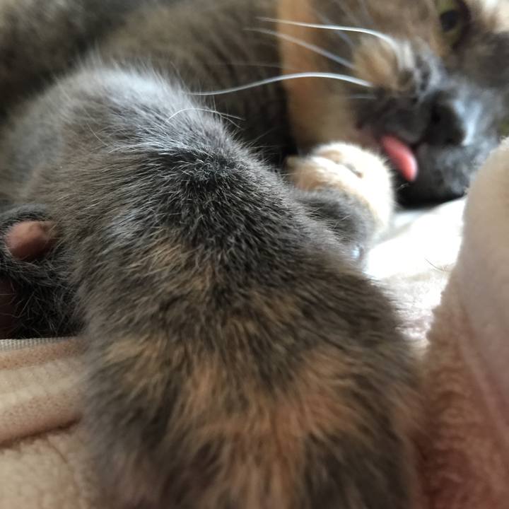 C4073458 fb4c 4923 b01d 74b83a268949