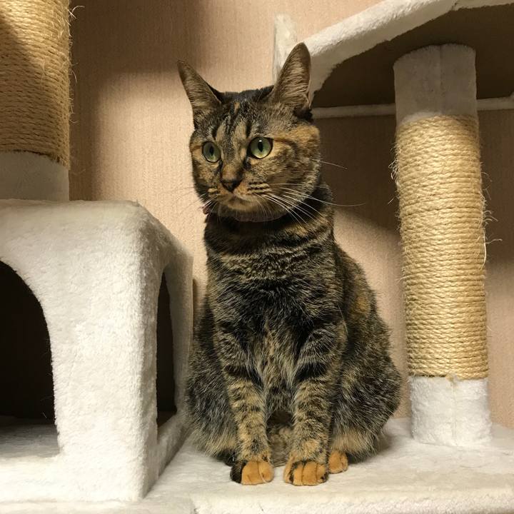 C4074a10 cc53 4026 ac22 c9789b6d6e61