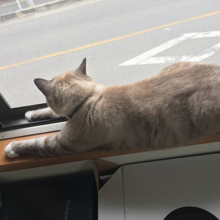 C40791e9 c6f9 45b5 89ee 7c1d2b4ceea7