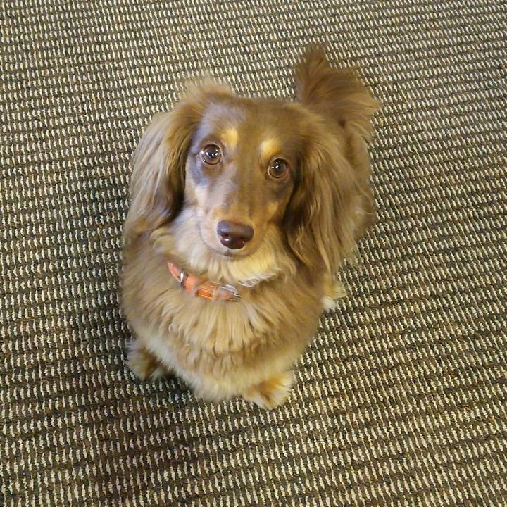 C407aacb 282b 4769 83a7 9db6f5ce1389