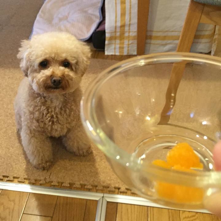 C407f41f 0753 4a25 b80b 36db21896fae