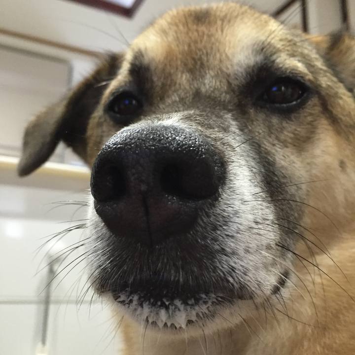 C4083086 142b 452d 8b1b 7e066165ed13