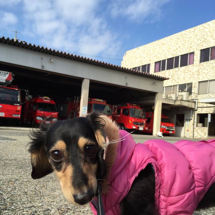 C4084637 1aca 41dd b41a b4e9b28c44d1