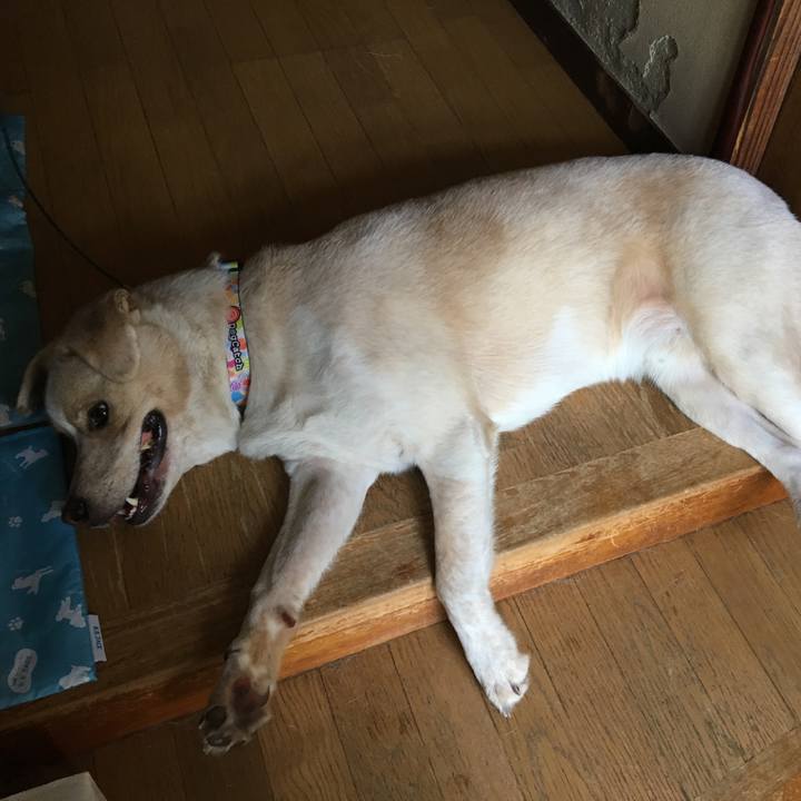 C408b5fe cdc5 4afc 9b29 e78970abadf5