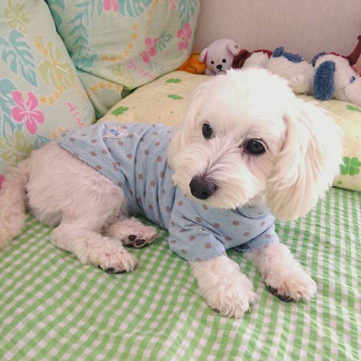 C408b9d3 9dac 4193 b714 16b8cab9ef81