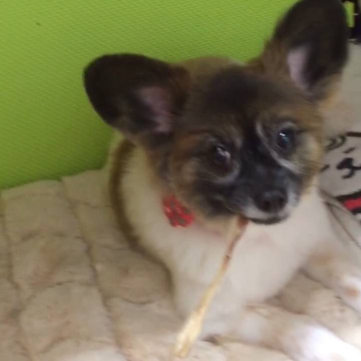 C4090369 8af6 426f 9872 f01865e1dc10