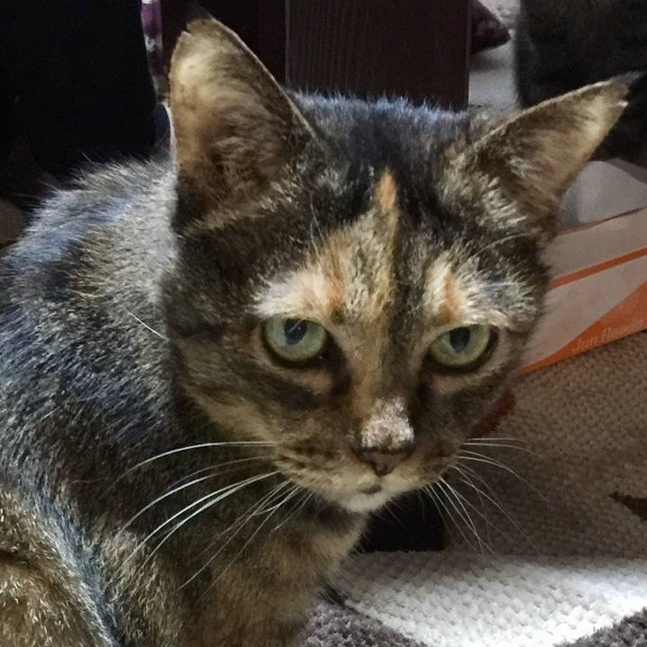 C40a0559 f325 45ee 98d3 d5c9d19f807c