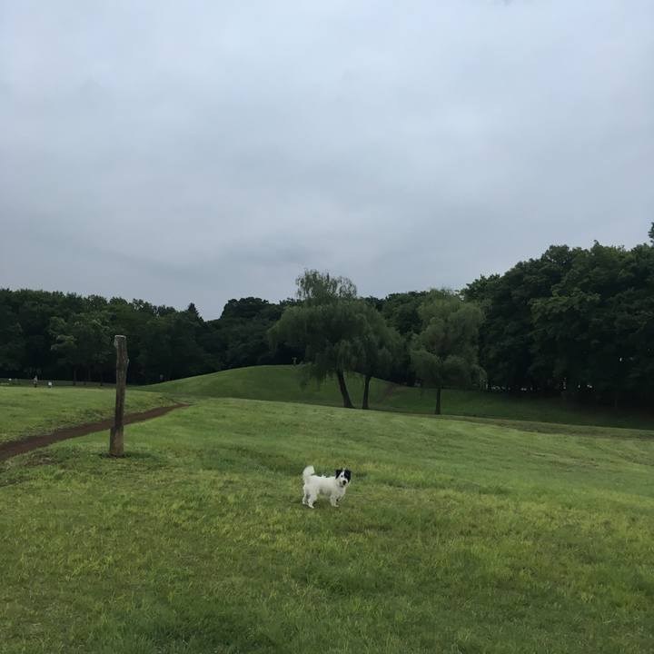 C40a0927 d8e6 4e3e 84ed 3c63e6868383