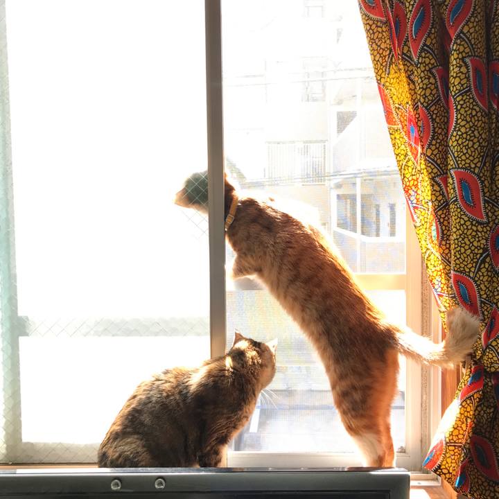 C40a58fa dbc4 47ad 8945 687dbeb5bba8