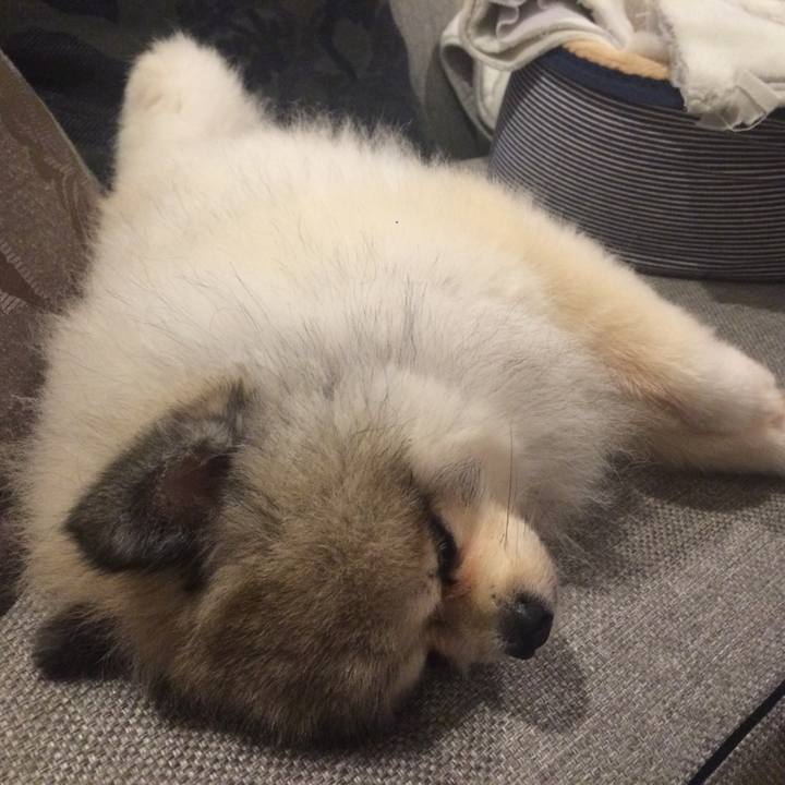 C40a5bd1 34c7 42e3 8b99 69d1a4964f63