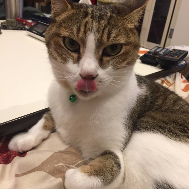 C40a7f60 5e68 45ec a5ec 540b84aefb54