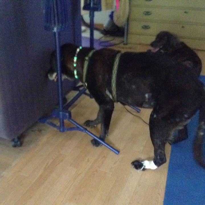 C40ad535 e892 4f86 843d 87ff44aefb0f