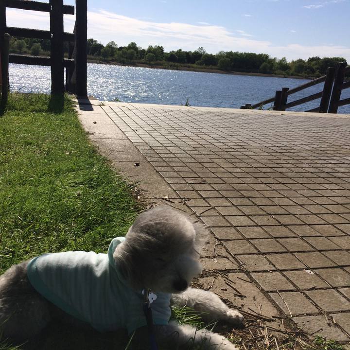 C40afbea 55cd 48d3 943f 5ee7bcdefe86