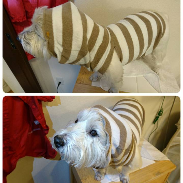 C40b3c65 3f76 4933 a42d 16d2c056dc16