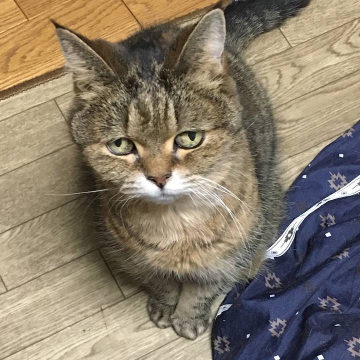 C40b7b24 d344 4518 a274 e4fb17297b23