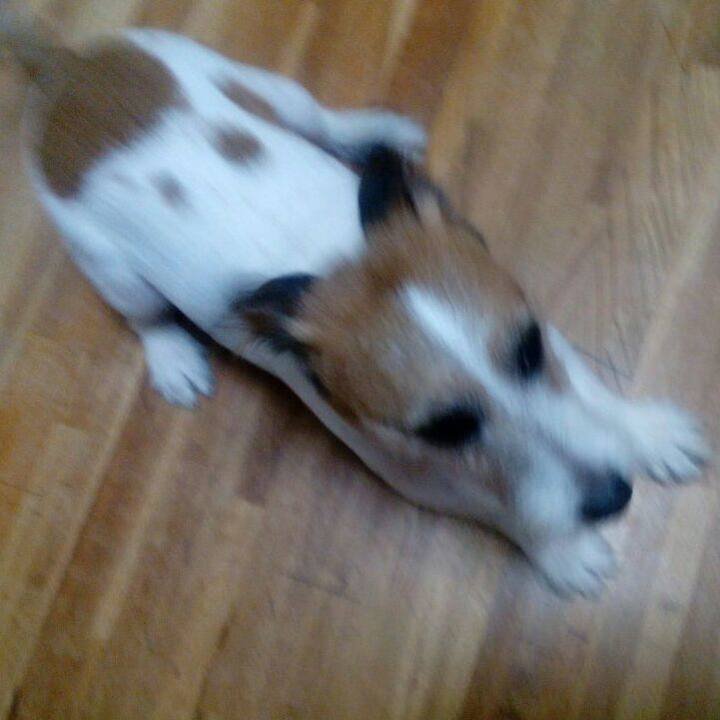 C40bbabb a162 45b8 b96c b07a9e0bc758