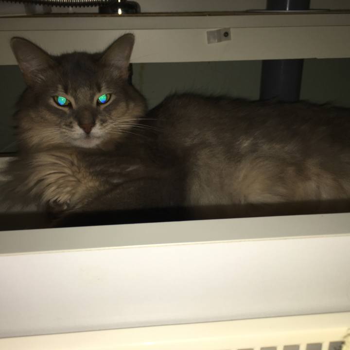 C40bd0f9 c6af 4d35 9a22 067aca59c0b6