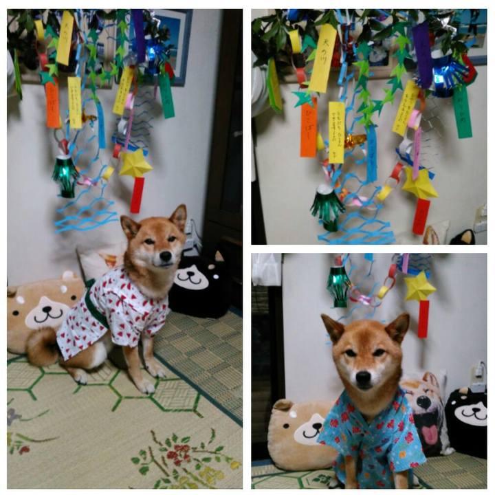 C40bd89d 687e 445c 8b25 7a6c3b3151bf