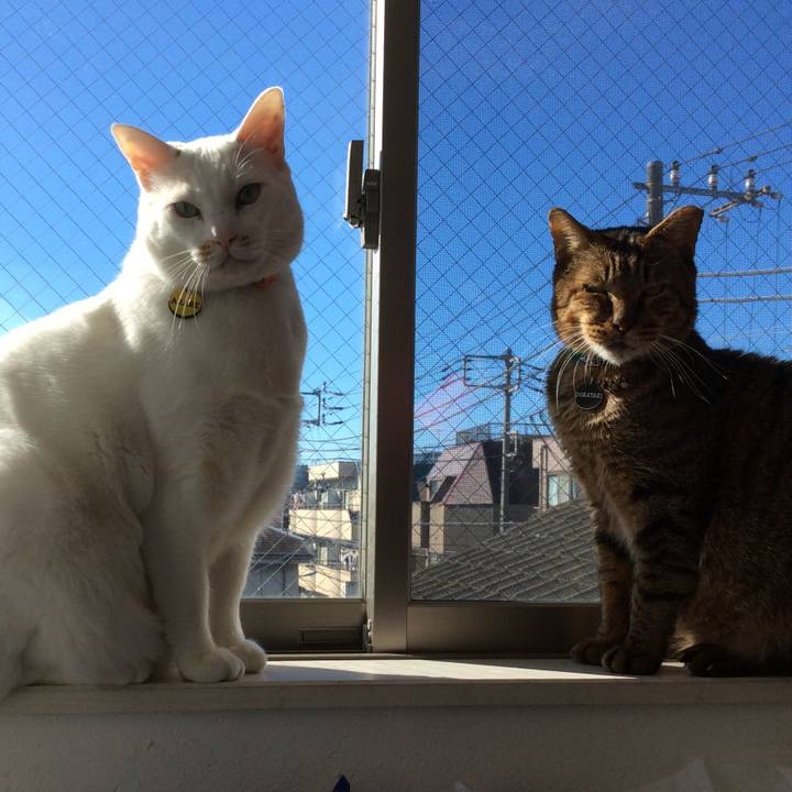 C40bdedf 60fd 422f b2ff 22e4dee3af56