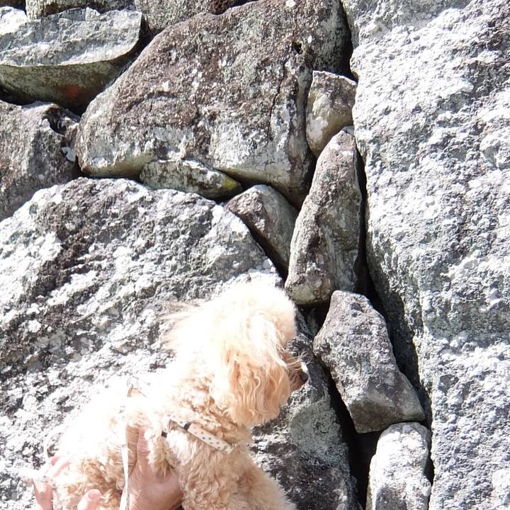 C40c0883 5332 426a 9ac8 9cd973b5f2b6