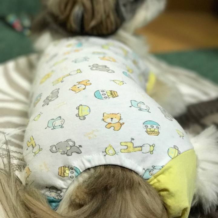 C40ce228 cca9 4b20 bbac 41d48ea8bc70