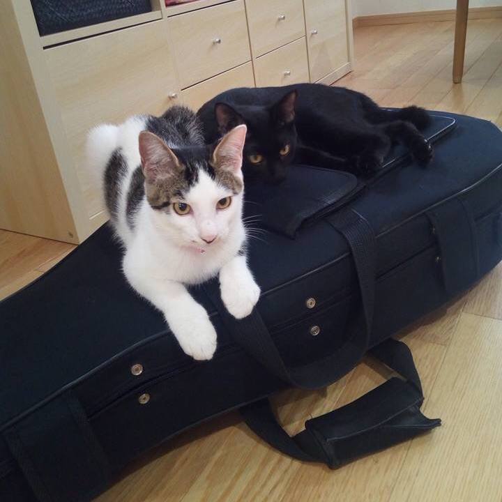 C40d6463 861d 4452 b0e3 6bad470cc9fa