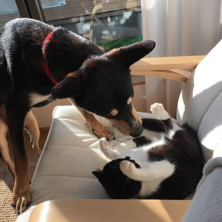 C40da8d2 6f99 444f 876b 01cf43f35ea1