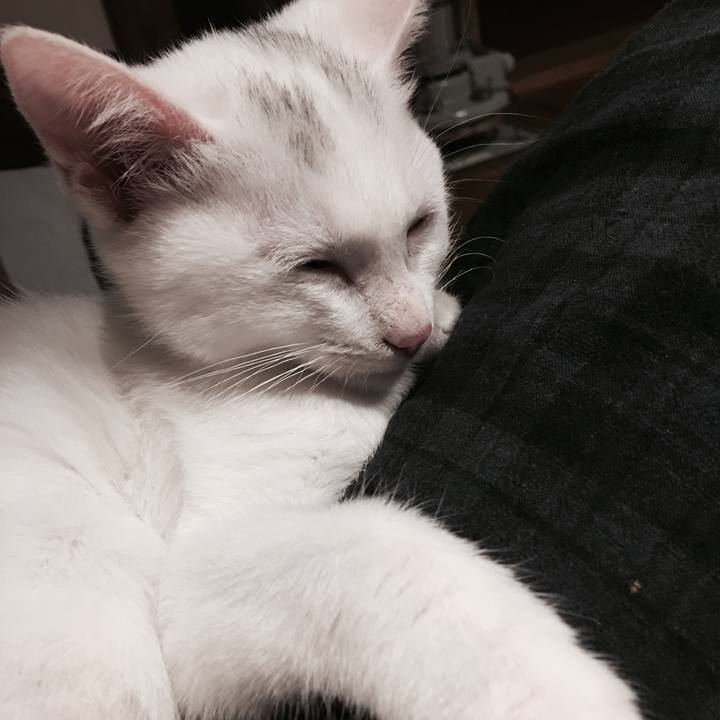 C40f01f3 2e09 439a a848 773bd875b5a9